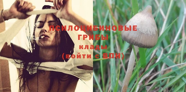 марки nbome Бердск