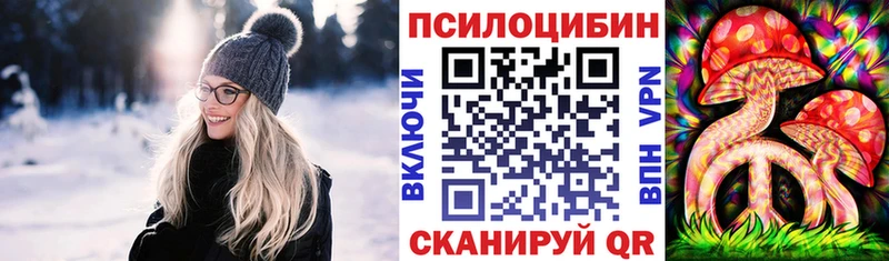 Псилоцибиновые грибы мицелий Грайворон